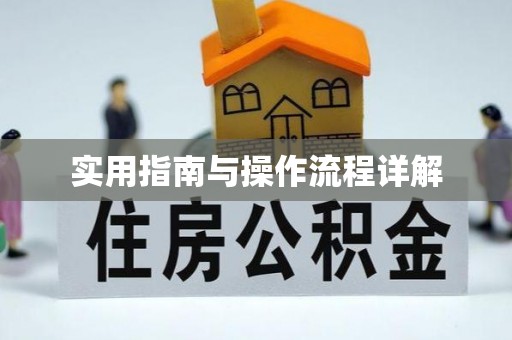 芜湖实用指南与操作流程详解