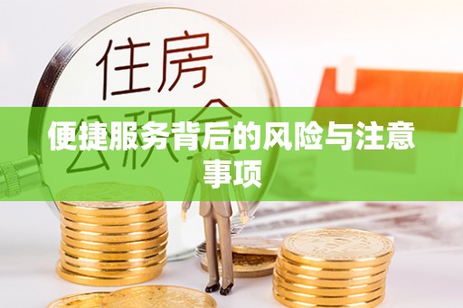 德令哈便捷服务背后的风险与注意事项