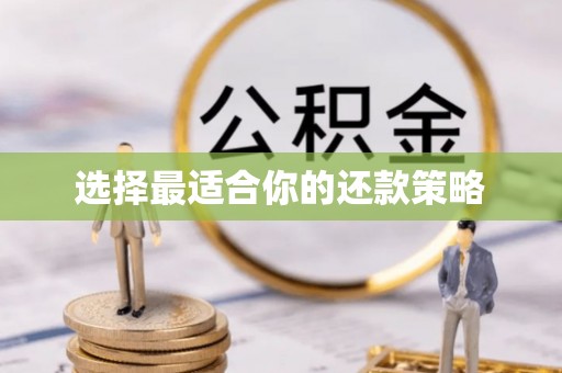 卢龙选择最适合你的还款策略